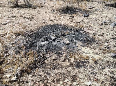 Climate Impacts on Fire Risk in Desert Shrublands: A Modeling Study